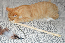 Laden Sie das Bild in den Galerie-Viewer, Katzenangel